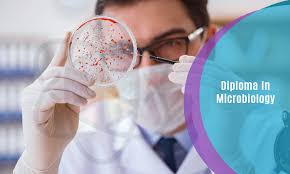 DIPLOMA IN MICROBIOLOGY